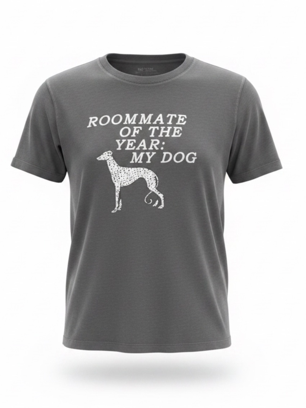 Wildfox Roommate T-Shirt